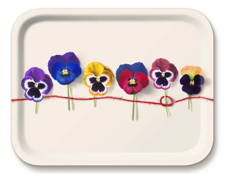 Tray 36x28cm Pansy