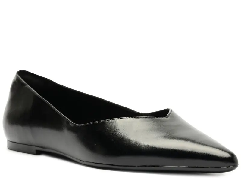Leather Pointed-Toe Flat Ballerinas