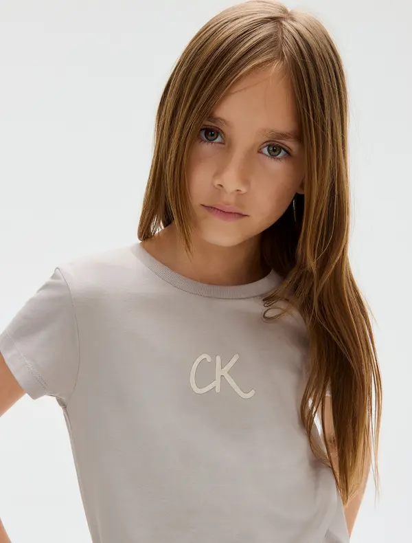 Slim Stripe Short Sleeve T-Shirt