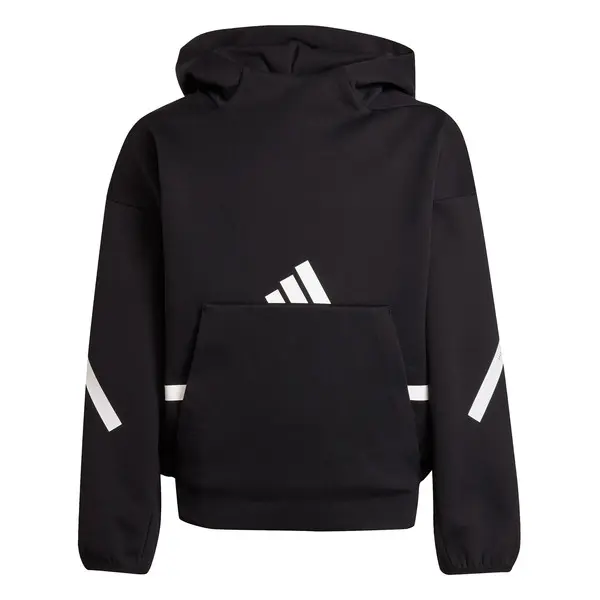 ZNE Hooded Sweatshirt