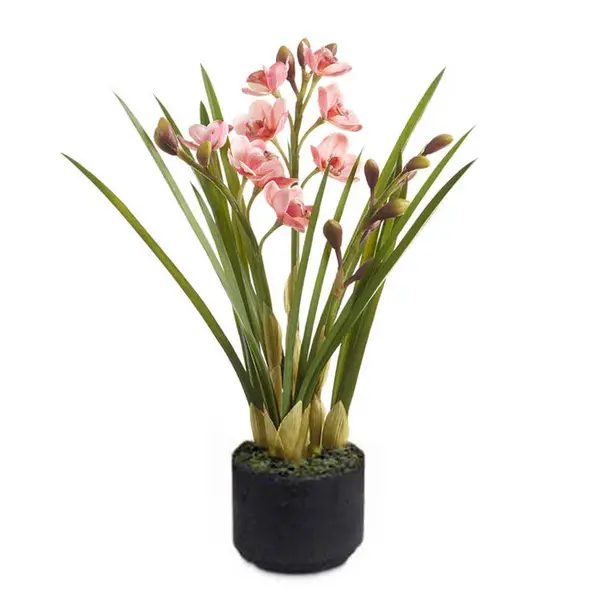 VERONICA PINK CYMBIDIUM CLOD L Ø16