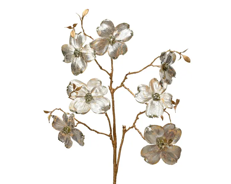 Spray Crack Dogwood with Gold Stem Image