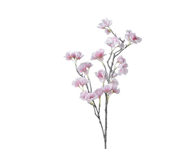 Cherry Blossom Spray with Snow Finish Image