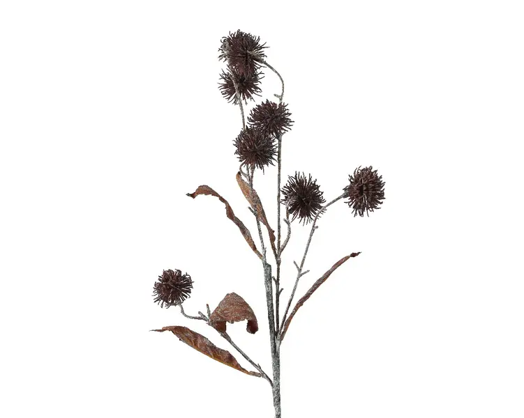 Flower - Allium Spray Image