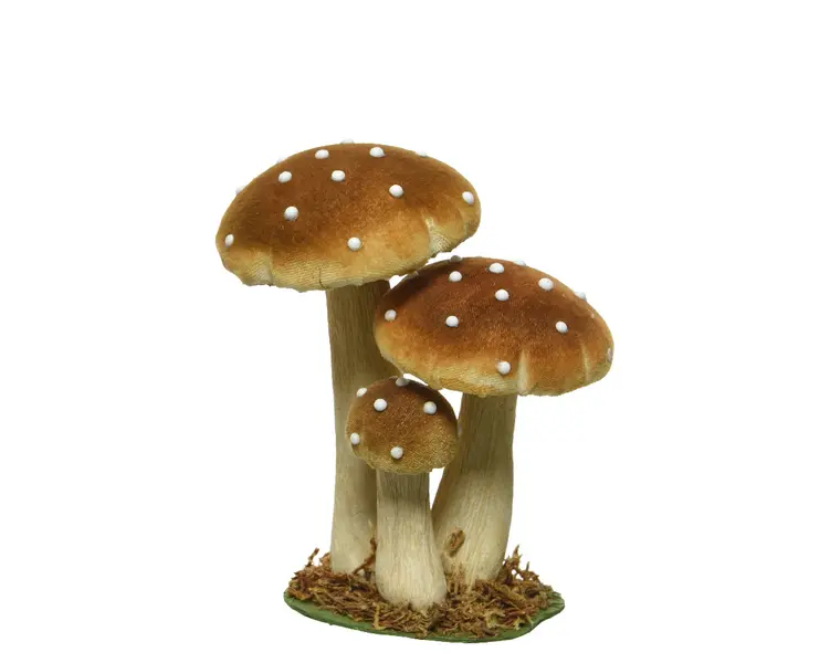 Mushroom polyester
velvet grass MUSTARD
