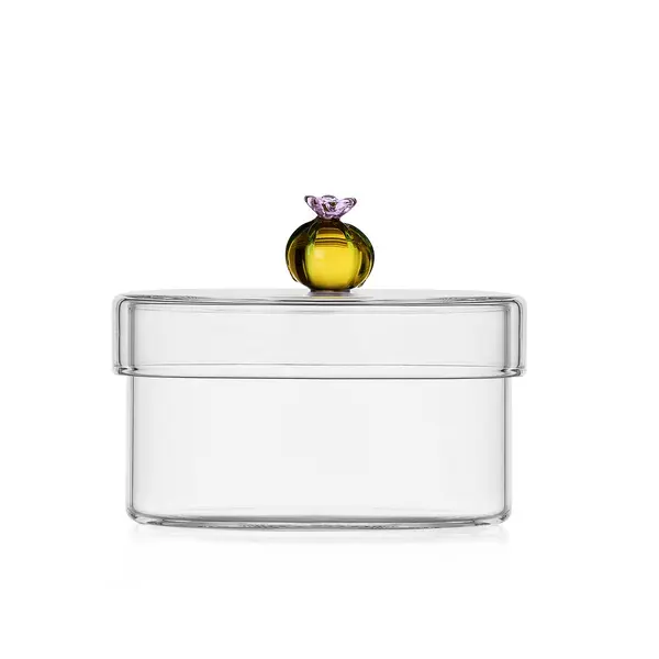 Dessert plant box cactus amber 