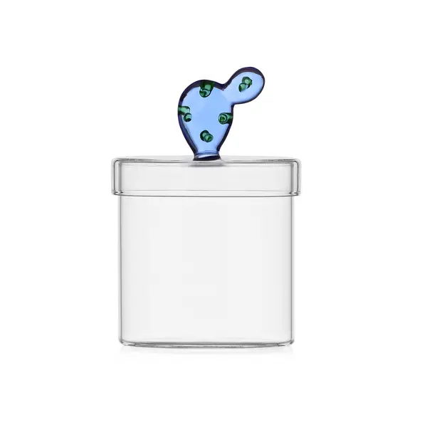 Dessert plant box cactus blue Image