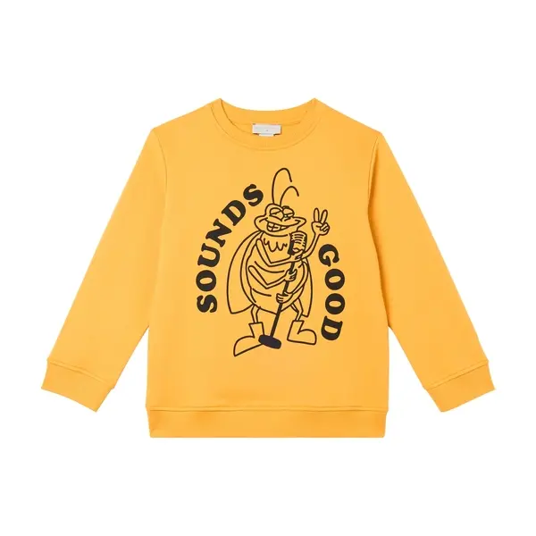 Kids Boys Long Sleeve Sweatshirt with "Sounds Good" Insect Graphic