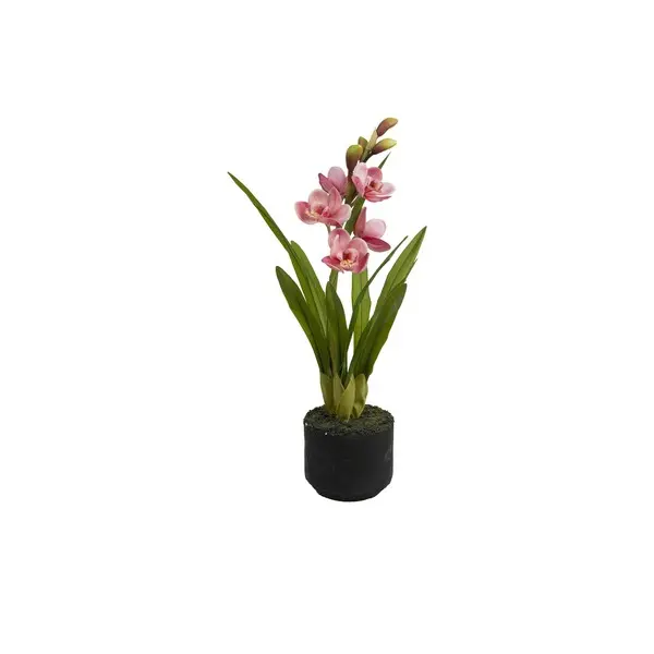 VERONICA PINK CYMBIDIUM CLOD S Ø12 Image