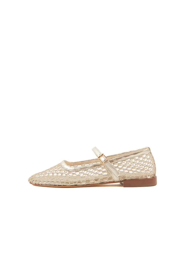 Gold Mesh Mary Jane Flat with Metallic Trim