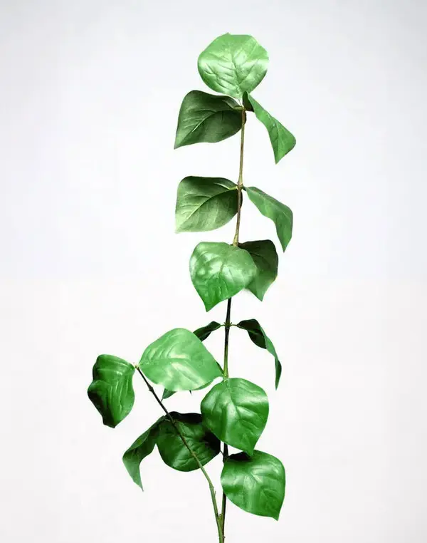 Salal Leaf Spray, 80cm