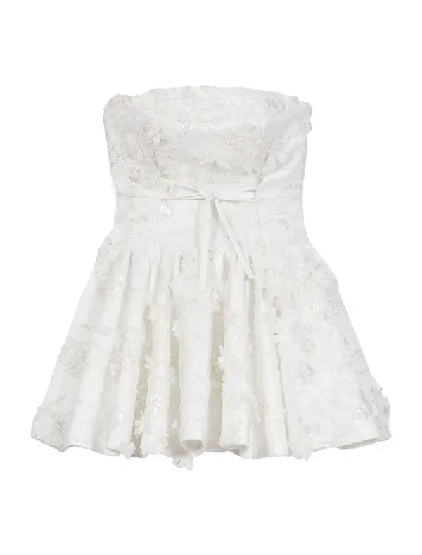 Short Embroidered Bustier Dress