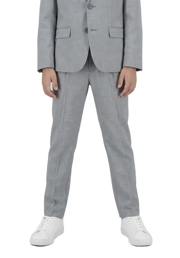 Regular Fit Suit Pants