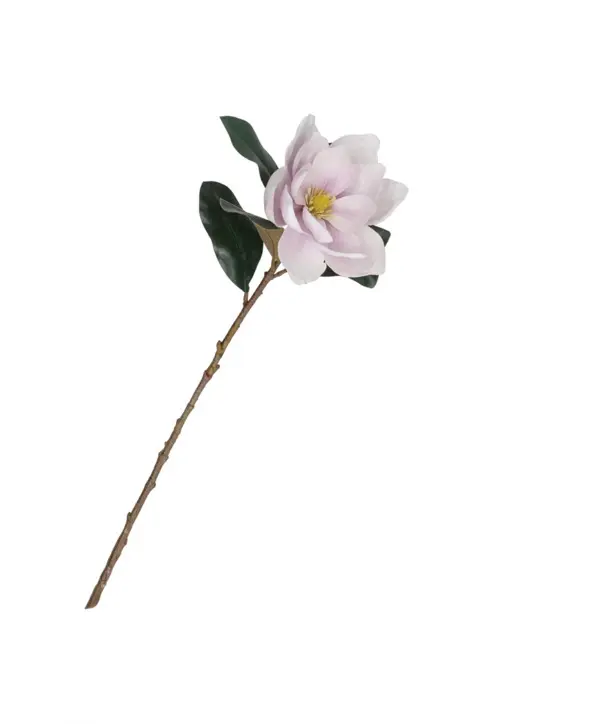 Maggie Pink Magnolia 1 Flower