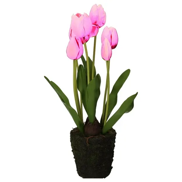 Anna Tulip Fuchsia L D 12.5 - Plastic, Steel, Sand, Mud, Foam