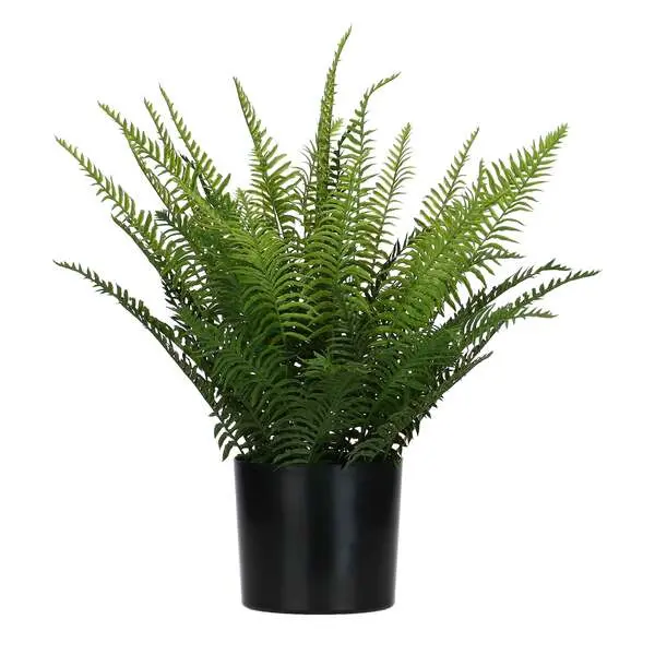 Fern Atrificial Plant - M