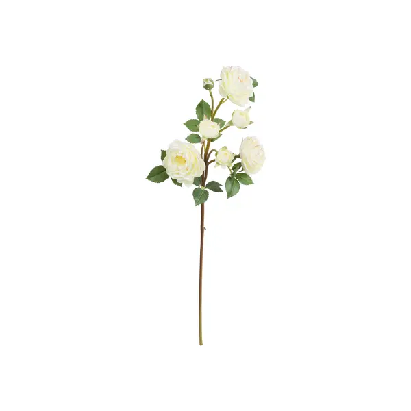 White Antonietta Rose 54cm