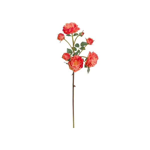 Orange Antonietta Rose 54cm