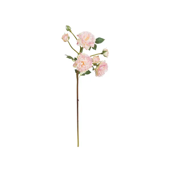 Pink Antonietta Rose 54cm