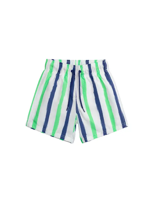 Striped Swimming Shorts Image
