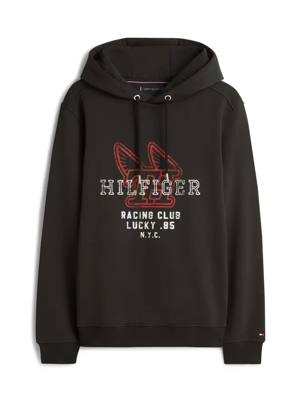 Graphic Terry Drawstring Hoody