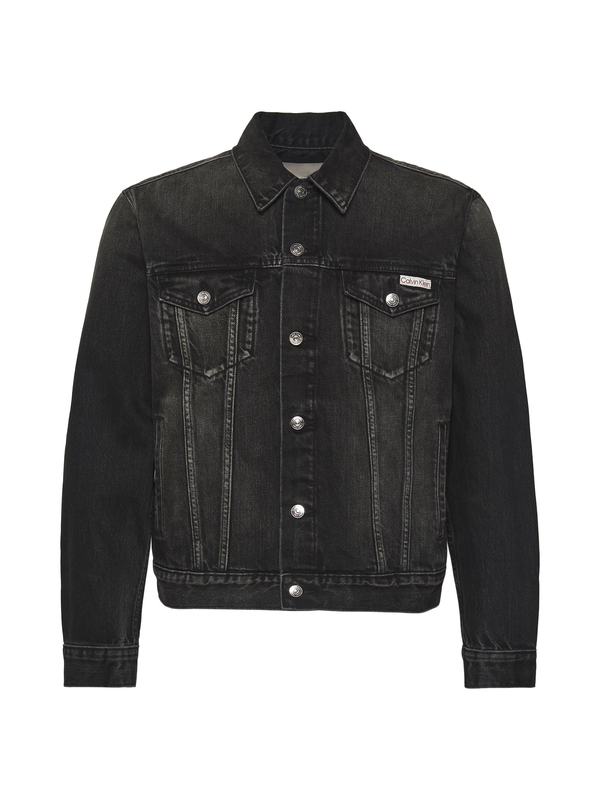 Regular Fit Classic Collar Jacket