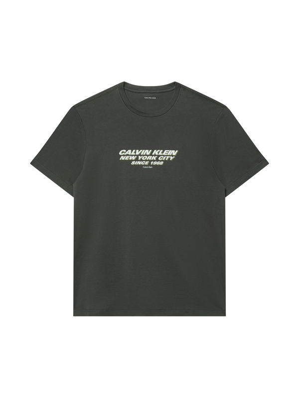 Crew Neck Graphic Short Sleeve T-shirt