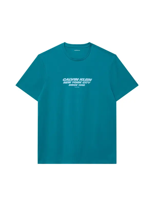 Crew Neck Graphic Short Sleeve T-shirt