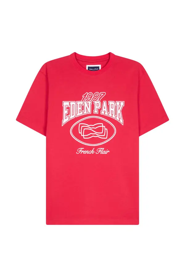 Regular Fit Cotton Short-Sleeve T-Shirt With Print 