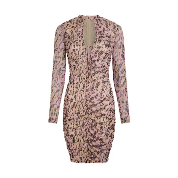 Artistic Animal Mesh Dress