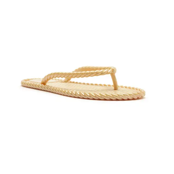 Moroccan Jelly Golden Slipper Image