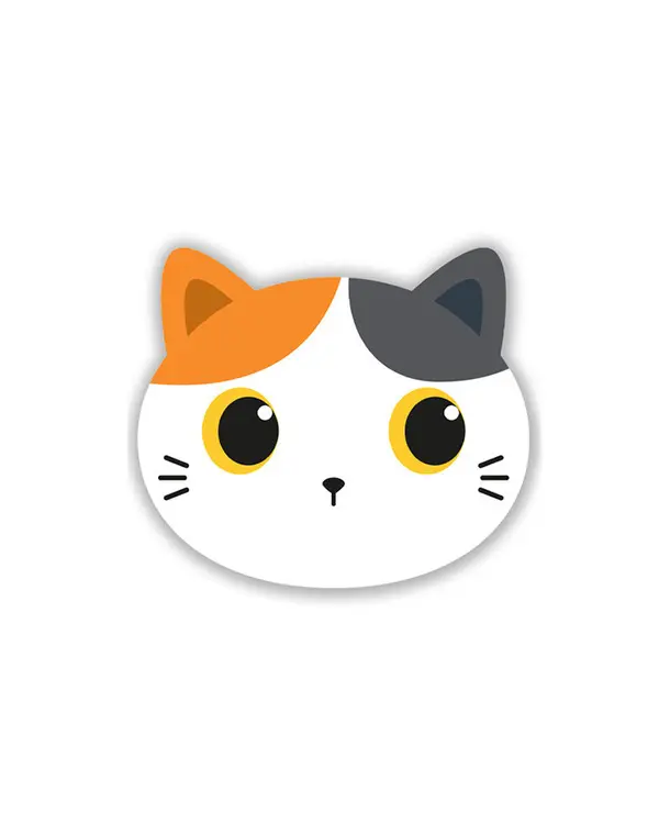 Assorted Placemats Cat Orange 