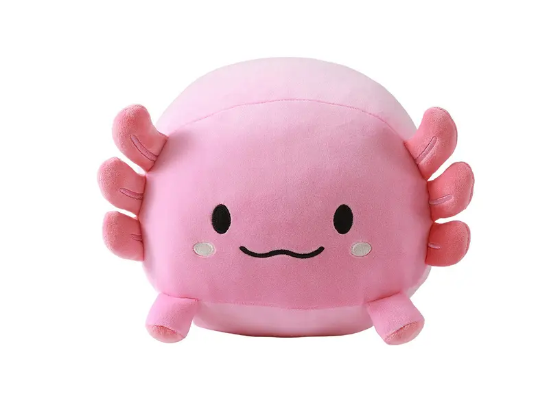 Pillow Axolutely 