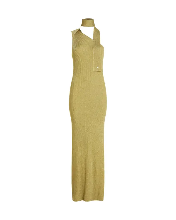 Metallic Knit Maxi Dress Image