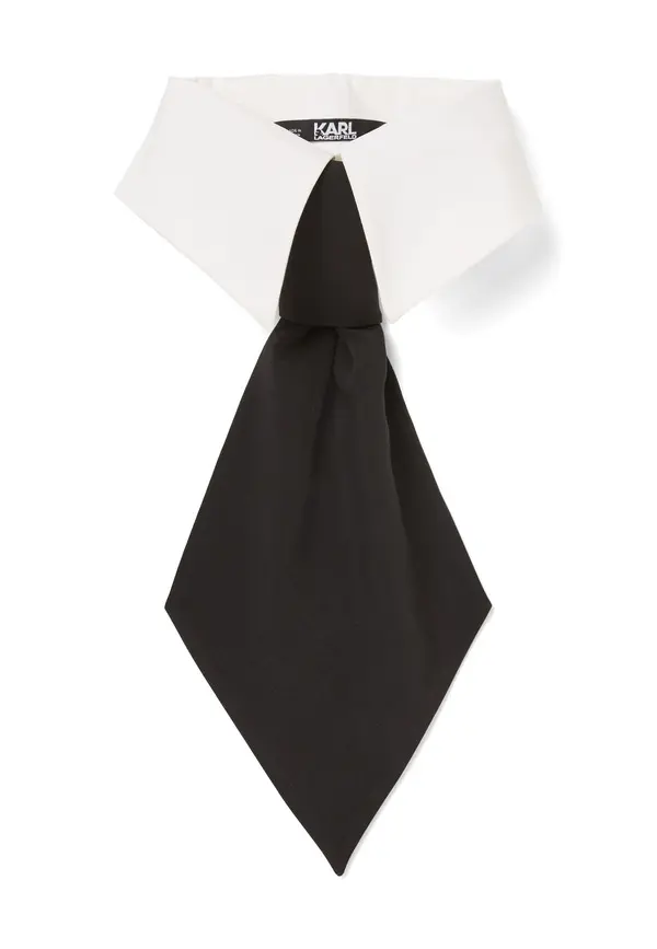 Detachable Collar and Scarf Tie Image