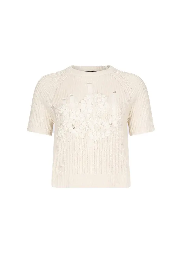 Raffia-Embroidered Short Sleeve Top