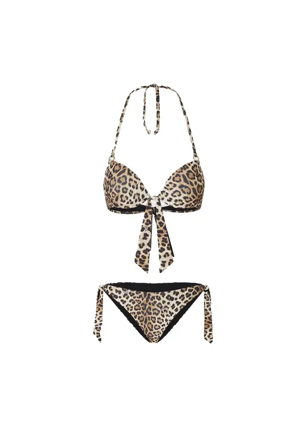 Animal-Print Bikini Bottoms And Push-Ups Bikini Top