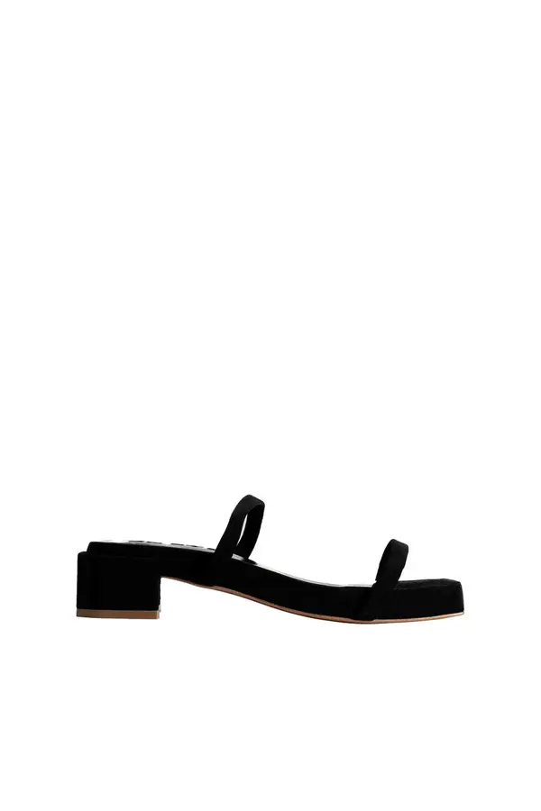 Suede Minimalist Double-Strap Block Heel Mule Image