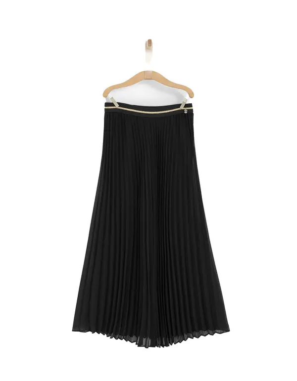  Pleated Long Skirt 