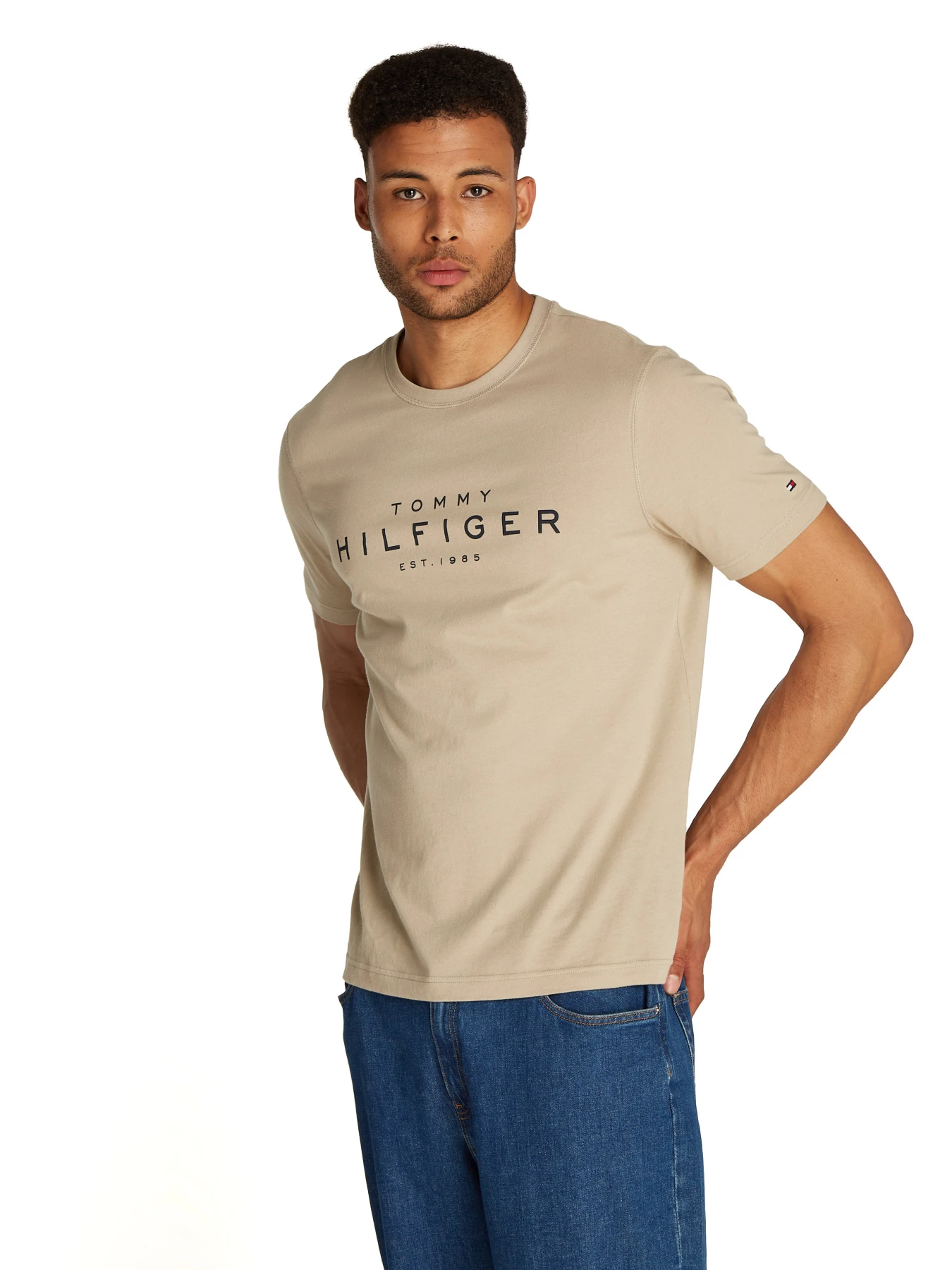  Big Hilfiger Short Sleeve T-Shirt Gallery