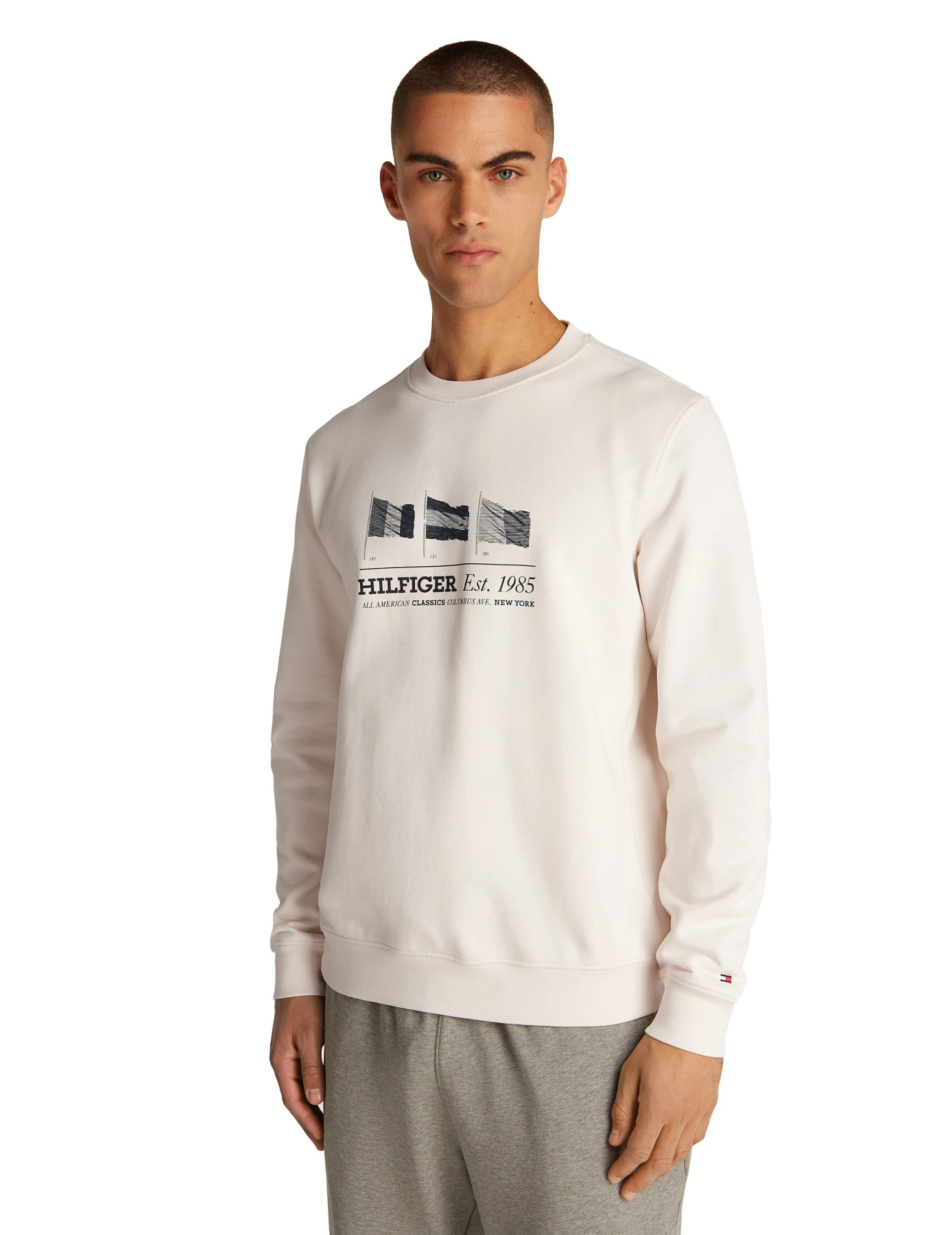  Regular Fit Flag Sweatshirt Gallery
