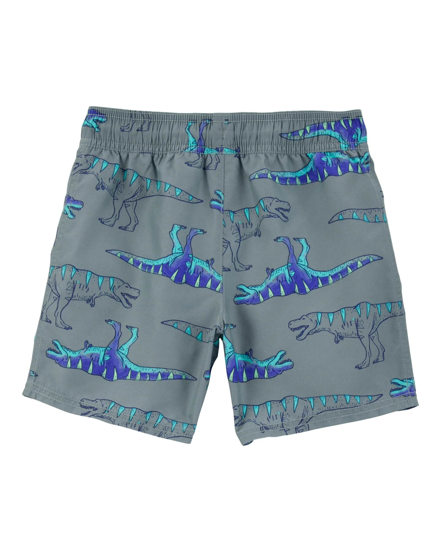 Dinosaur Print Swim Trunks Gallery