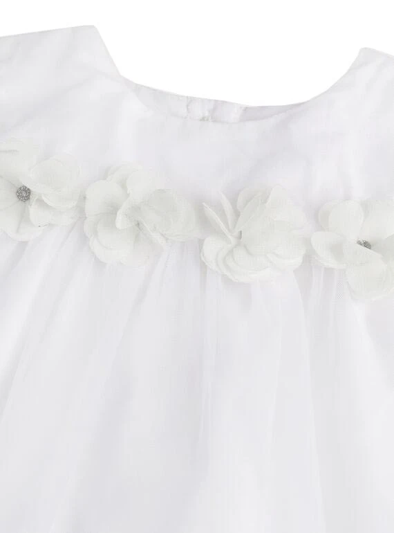 Short Sleeve Dress  Gallery