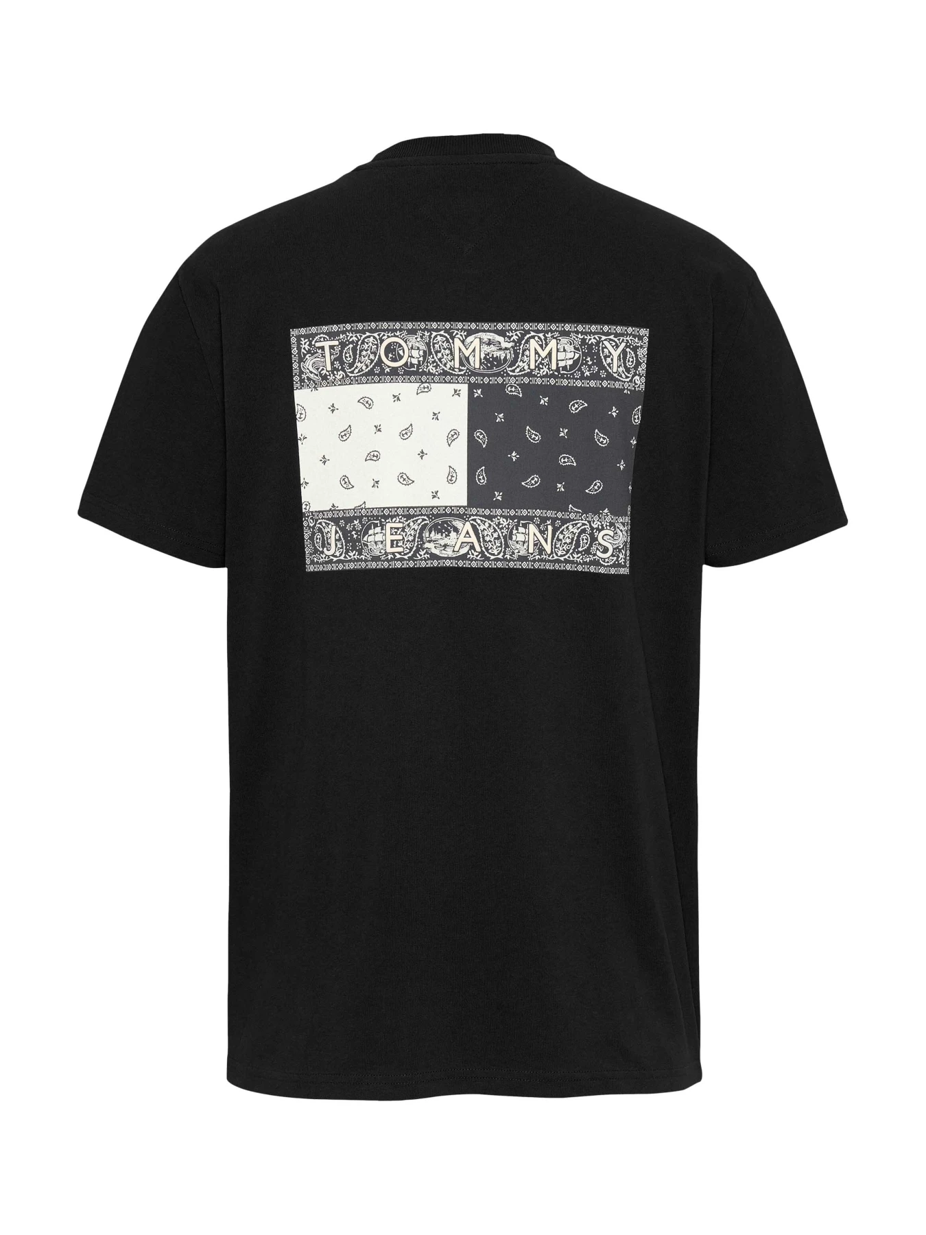 Regular Fit Paisley Flag T-Shirt Gallery