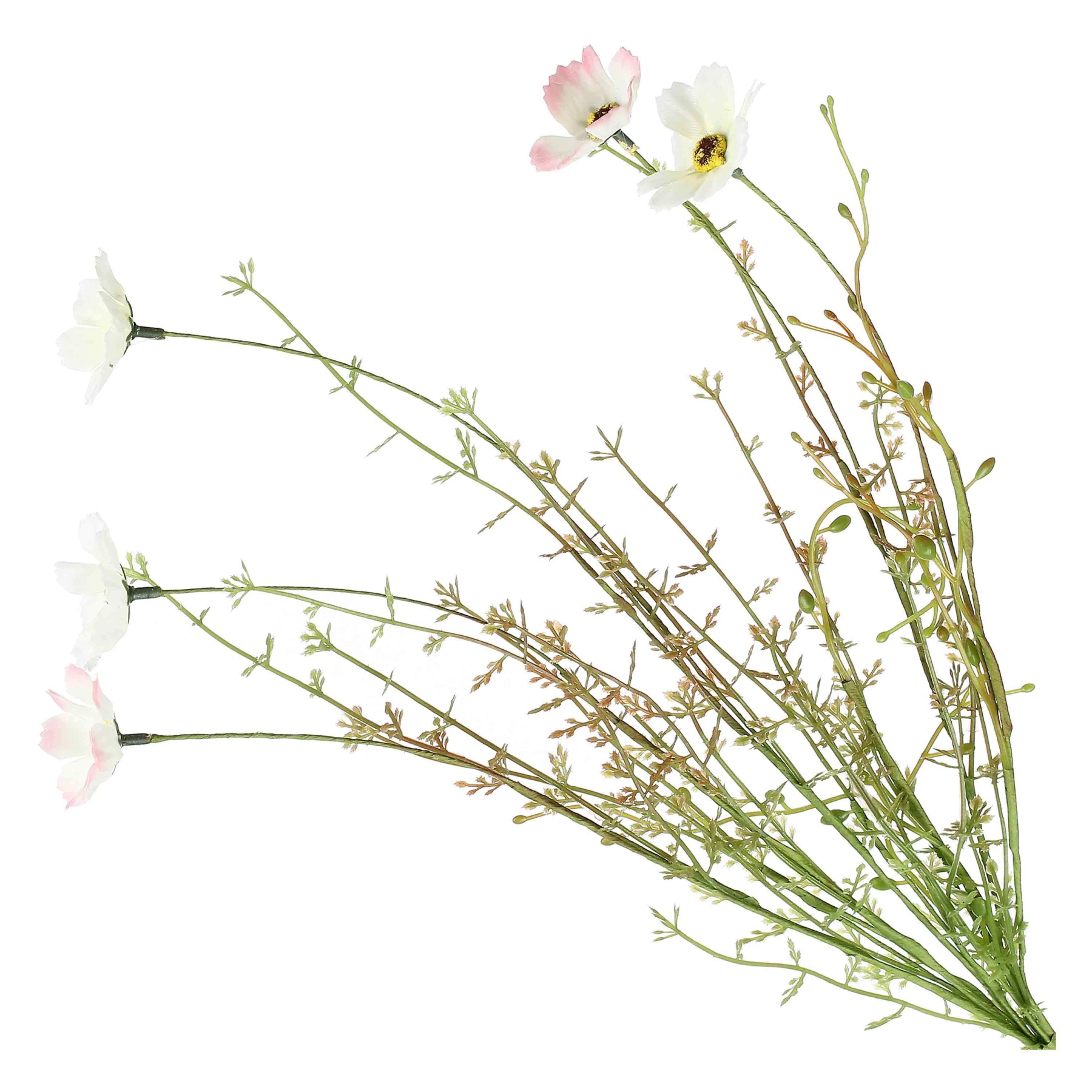 QUELMAZZOLINDIFIORI PINK AND WHITE DAISI Gallery