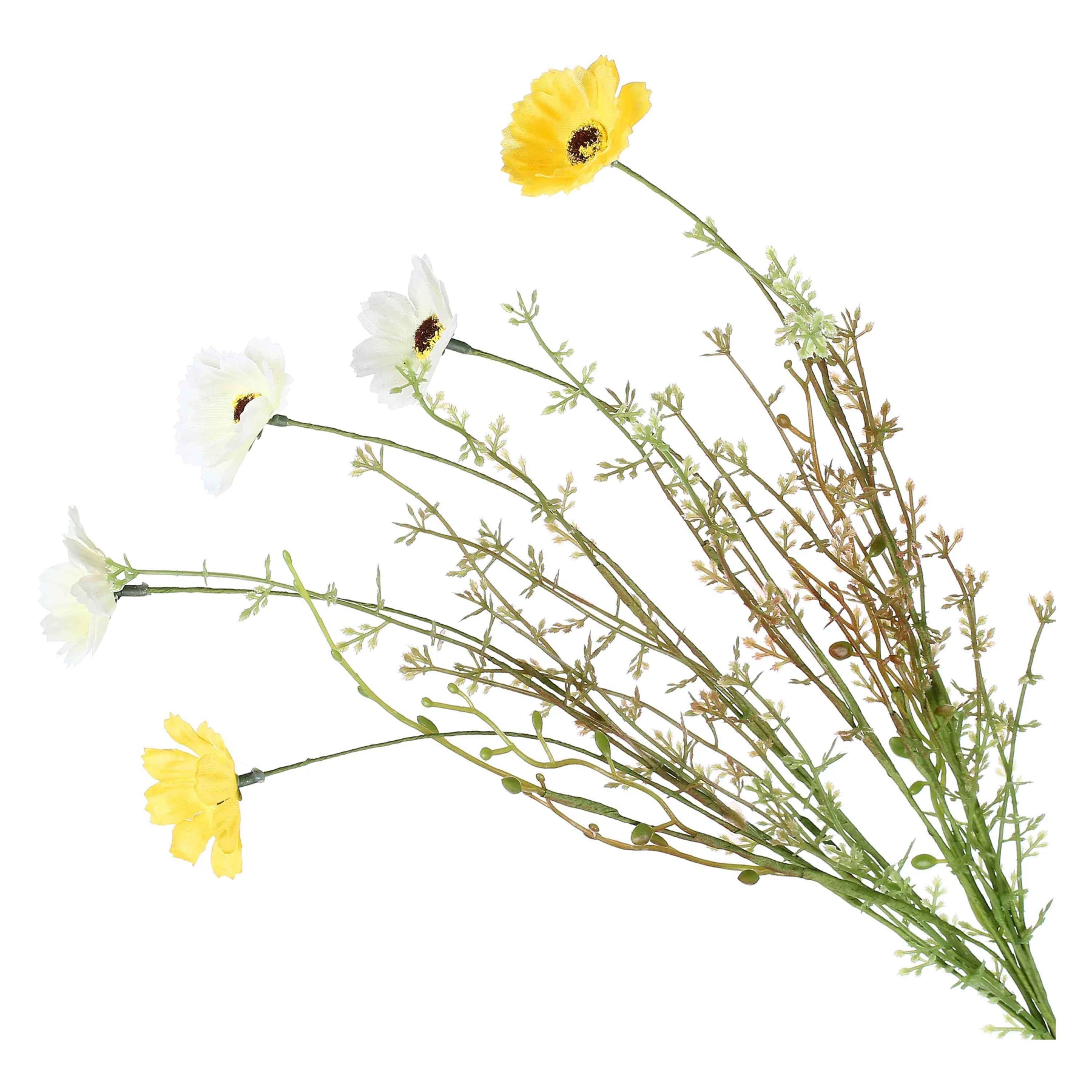QUELMAZZOLINDIFIORI YELLOW AND WHITE DAI Gallery