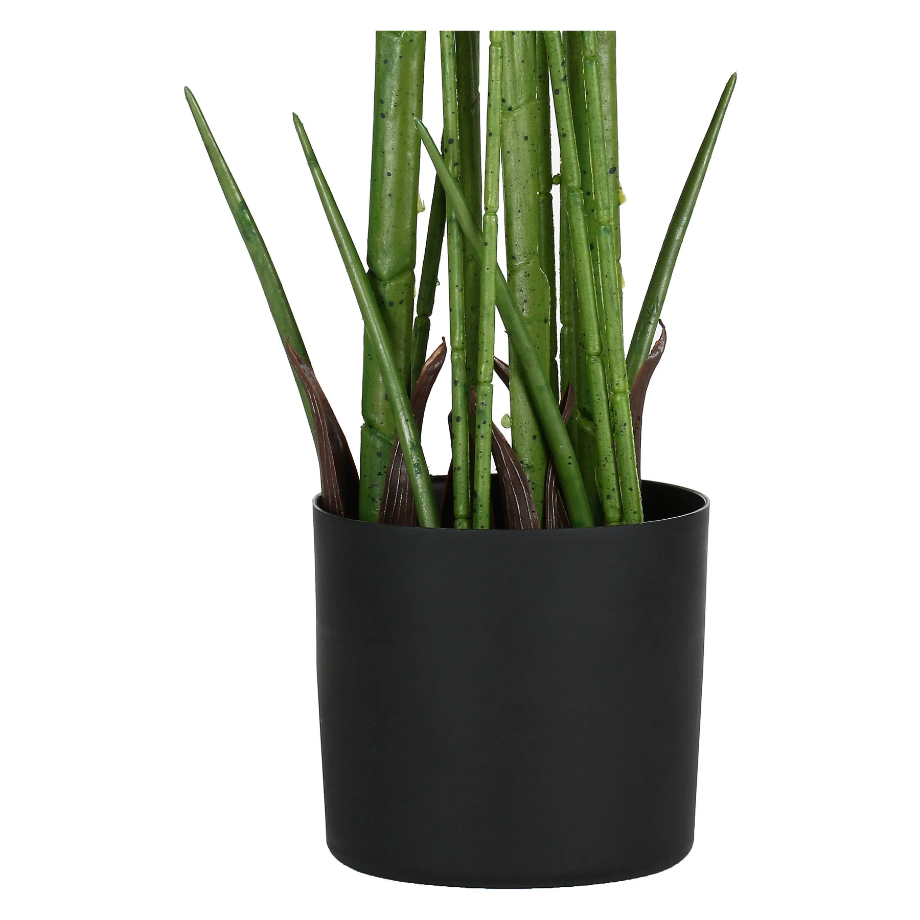 PIANTALA ARECA 190CM D 19CM Gallery