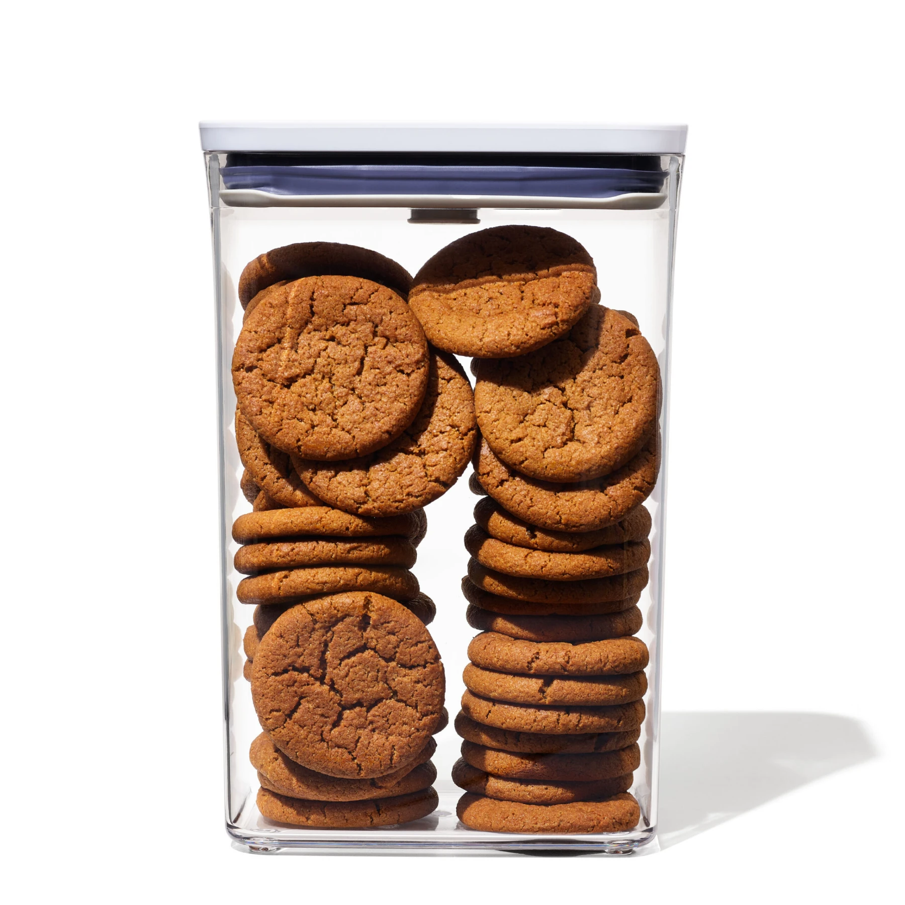 POP CONTAINER 2.0 RECTANGLE MEDIUM  2.7 QT Gallery