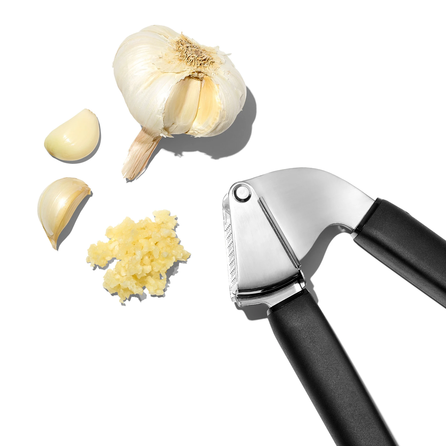 GARLIC PRESS Gallery