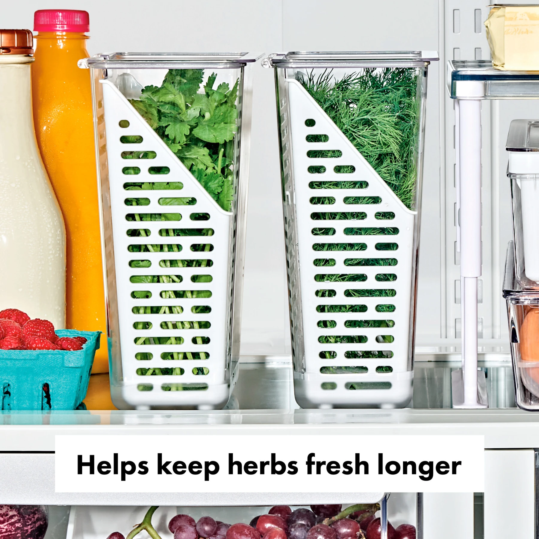 PRODUCE SAVER - HERB KEEPER Gallery